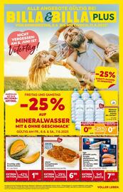 Billa Flugblatt woche 23 Seite 1