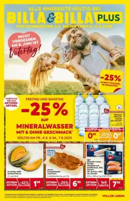Billa Flugblatt (gültig bis 11-06)