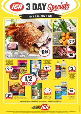IGA catalogue (valid until 8-06)