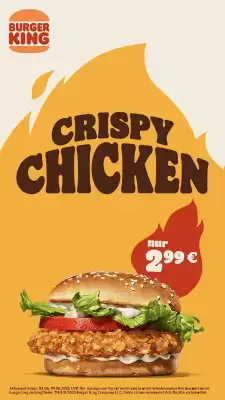 Burger King Prospekt (gültig bis 9-06)
