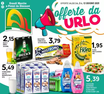 Volantino Al Discount (valido fino al 12-06)