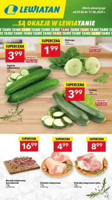 Lewiatan gazetka