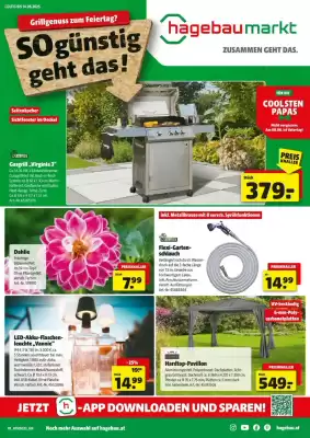 Hagebau Flugblatt (gültig bis 14-06)