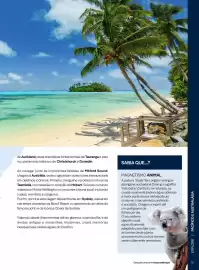 Folheto MSC Cruzeiros Página 15