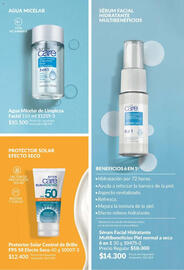Catálogo Avon Página 101