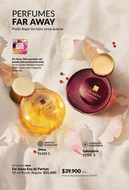 Catálogo Avon Página 64