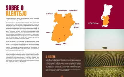 Folheto Solférias Página 13