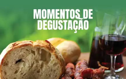 Folheto Solférias Página 20