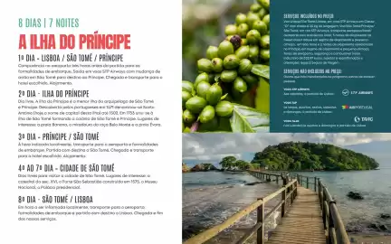 Folheto Solférias Página 23