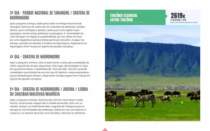 Folheto Solférias Página 40