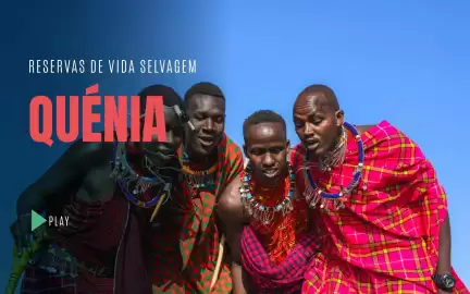 Folheto Solférias Página 5