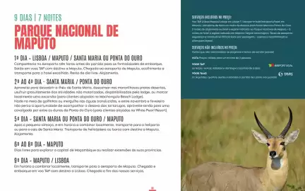 Folheto Solférias Página 51