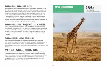 Folheto Solférias Página 8