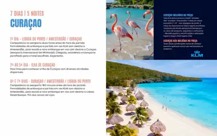 Folheto Solférias Página 10