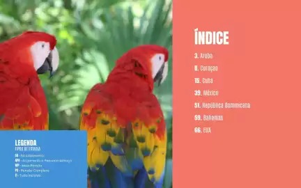 Folheto Solférias Página 2