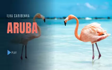 Folheto Solférias Página 3