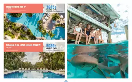 Folheto Solférias Página 65