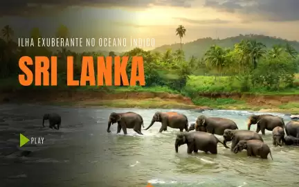 Folheto Solférias Página 124