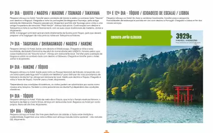 Folheto Solférias Página 166