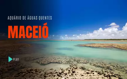 Folheto Solférias Página 34