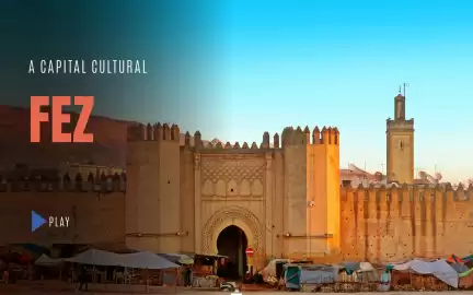 Folheto Solférias Página 36