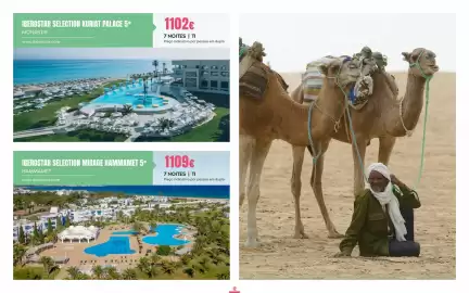 Folheto Solférias Página 12