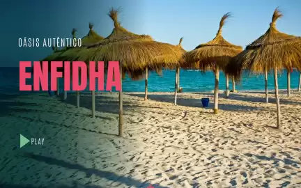 Folheto Solférias Página 13