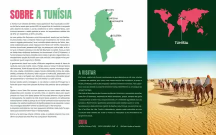 Folheto Solférias Página 4