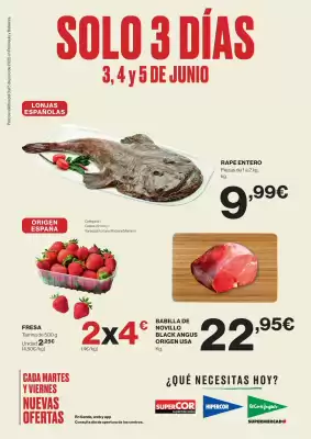 Folleto El Corte Inglés (válido hasta el 5-06)