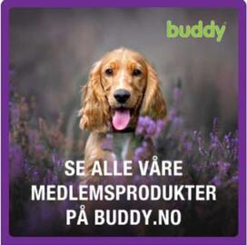 Buddy Kundeavis uke 23 Side 5