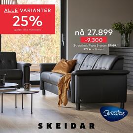 Skeidar Kundeavis uke 23 Side 2
