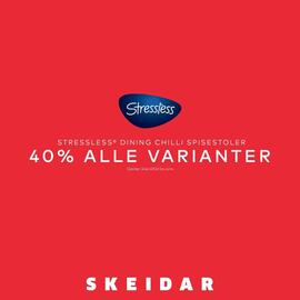Skeidar Kundeavis uke 23 Side 3