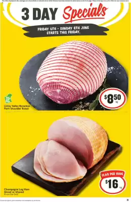 IGA catalogue (valid until 8-06)