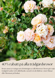 Plantagen reklamblad Sida 3