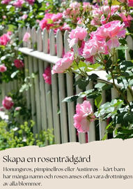 Plantagen reklamblad Sida 6