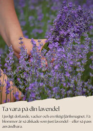 Plantagen reklamblad Sida 8