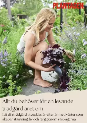 Plantagen reklamblad