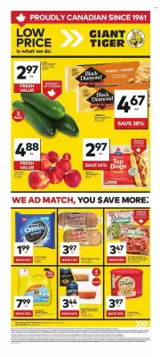 Giant Tiger flyer (valid until 10-06)