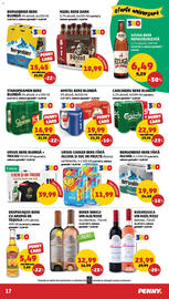 Catalog Penny săptămâna 23 Pagină 17