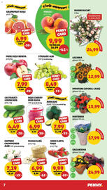 Catalog Penny săptămâna 23 Pagină 7