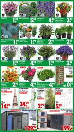 Wreesmann Prospekt woche 23 Seite 3