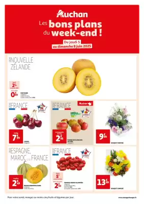 Auchan folder
