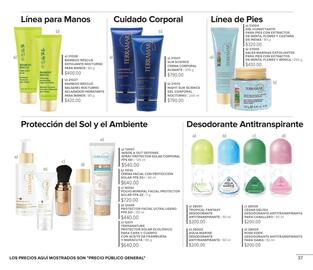 Catálogo Terramar Brands Página 37
