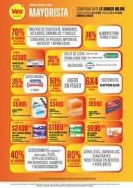 Catálogo Supermercados Vea Página 2