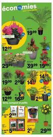 Super C flyer Page 14