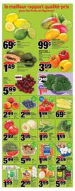 Super C flyer Page 4