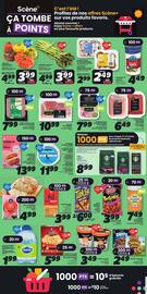 IGA flyer Page 14