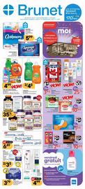 Brunet flyer Page 1