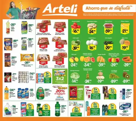 Catálogo Arteli express