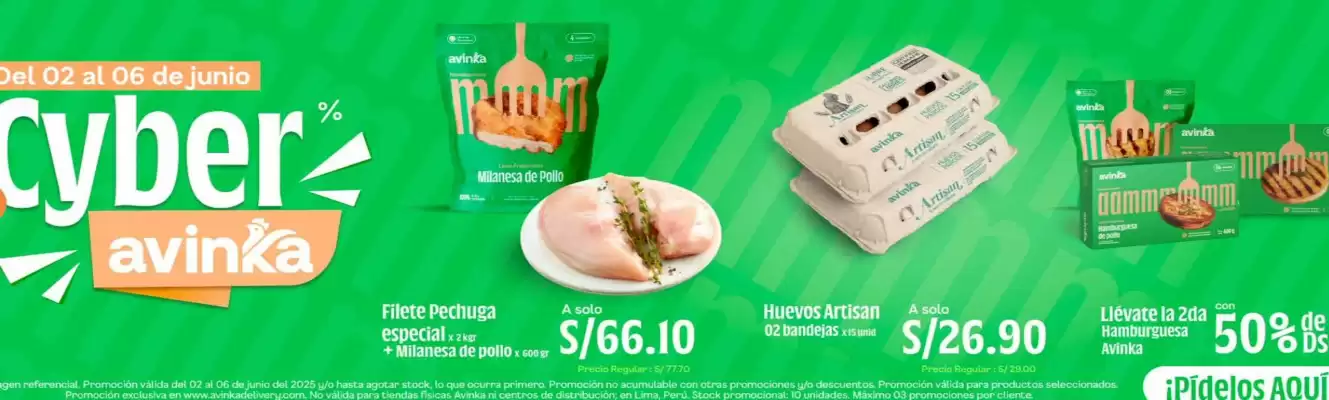 Catálogo Avinka (válido hasta 6-06)